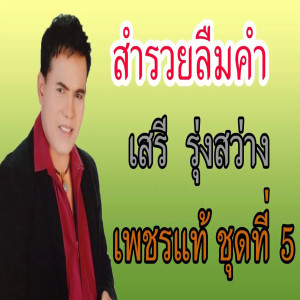 收聽เสรี รุ่งสว่าง的สำรวยลืมคำ歌詞歌曲