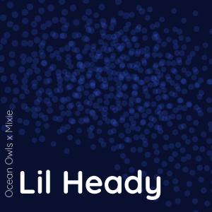 收聽Mike The Martyr的Lil Heady (feat. Ocean Owls, Mixie D & Axel Foley|Explicit)歌詞歌曲