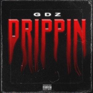 GDZ的專輯Drippin (feat. Awesome Pierre) (Explicit)
