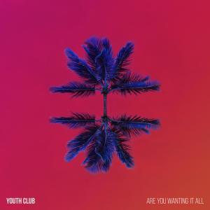 ดาวน์โหลดและฟังเพลง Are You Wanting It All พร้อมเนื้อเพลงจาก Youth Club