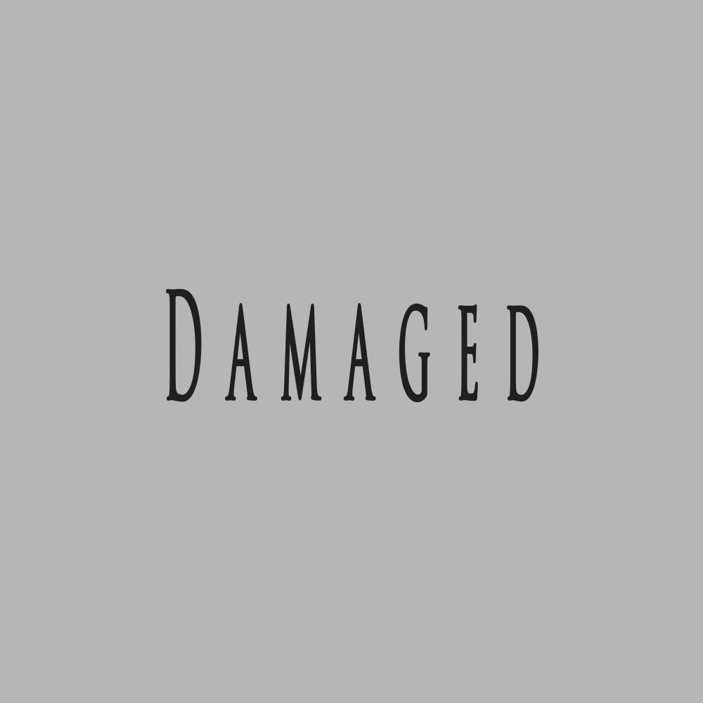 Damaged (feat. Fenrir)