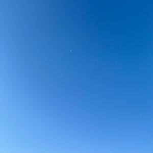 收聽Tyler Mann的Poly歌詞歌曲