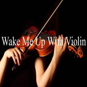 收听Violin的Wake Me up with Violin歌词歌曲