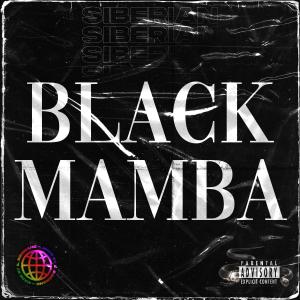 Listen to Black Mamba (Explicit) song with lyrics from Siberian