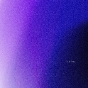 Album Not Bad from JFLAMINGO