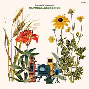 Dengarkan lagu _Less Than (Explicit) nyanyian Spectacular Diagnostics dengan lirik