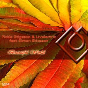 ดาวน์โหลดและฟังเพลง Beautiful World (Radio Edit) พร้อมเนื้อเพลงจาก Fidde Stigsson