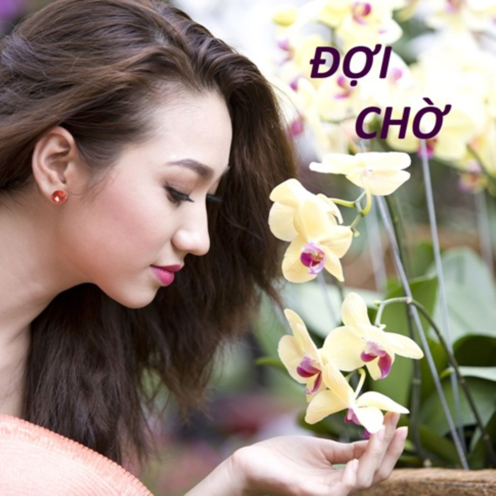 Em Đã Từng Yêu