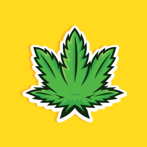 收聽Kaley的L3AF歌詞歌曲