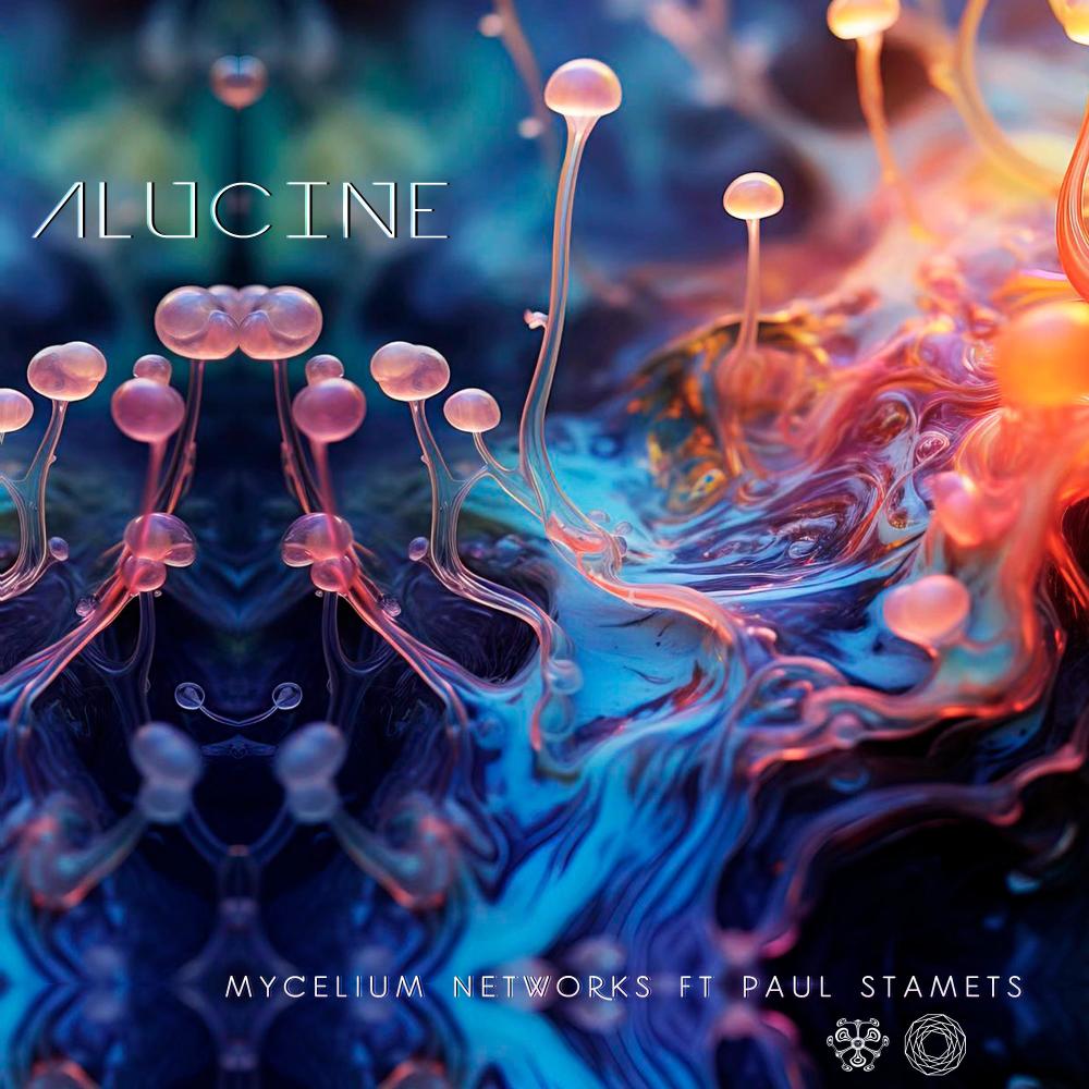 Mycelium Networks