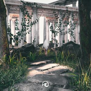 Album Chasing The Feeling (Explicit) from 