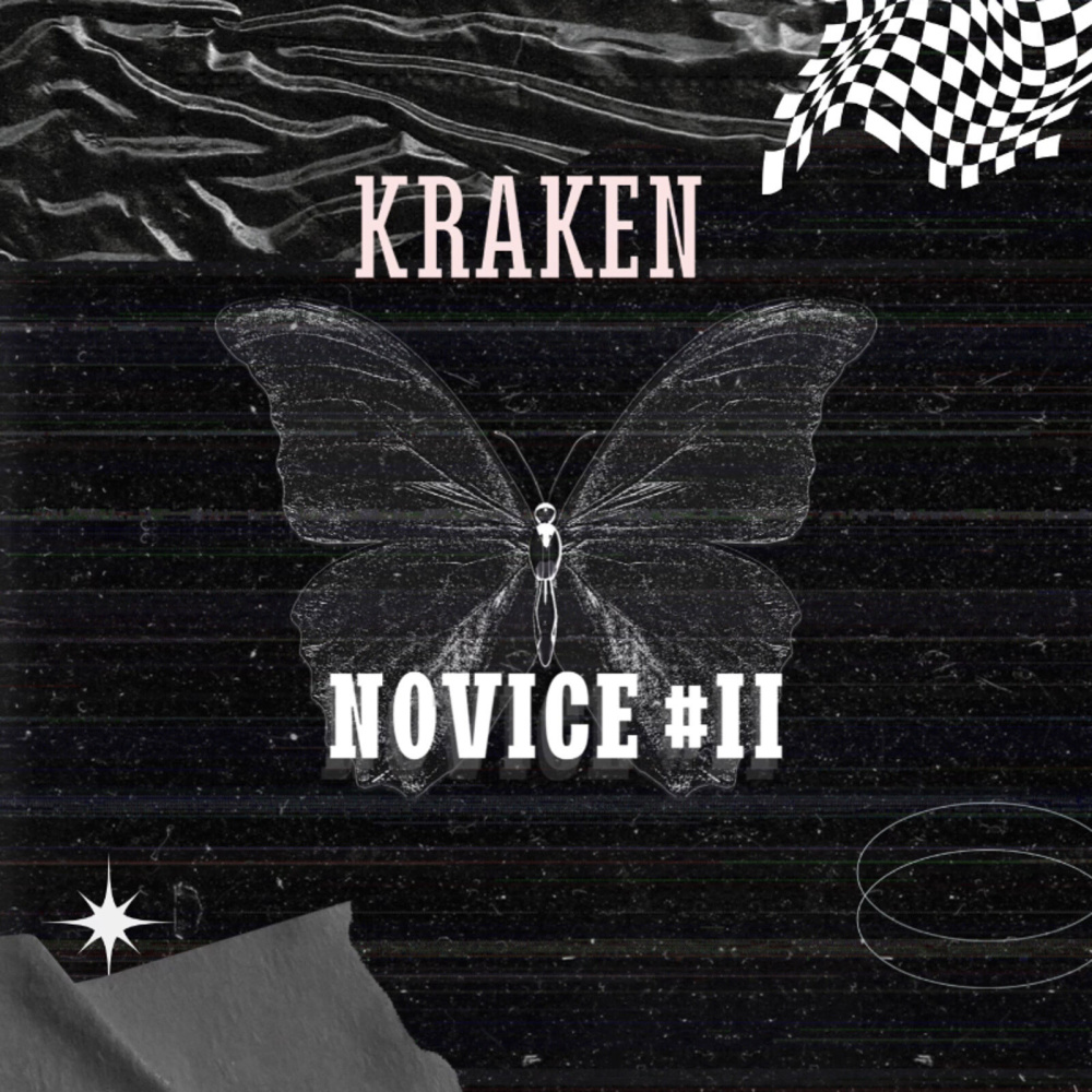 NOVICE # 2 (Explicit)