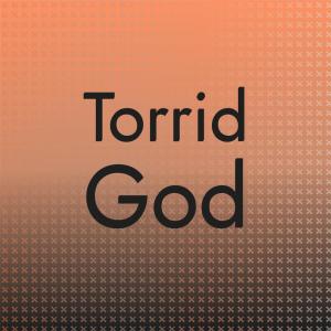 Various的专辑Torrid God