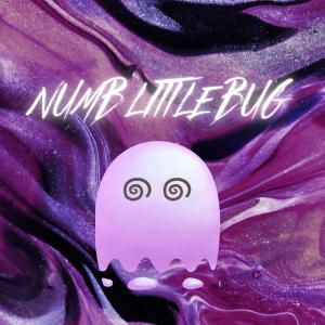ดาวน์โหลดและฟังเพลง Numb Little Bug พร้อมเนื้อเพลงจาก Rain Paris