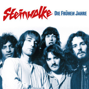 ดาวน์โหลดและฟังเพลง No Reason พร้อมเนื้อเพลงจาก Steinwolke