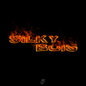 ดาวน์โหลดและฟังเพลง THAT'S FINE พร้อมเนื้อเพลงจาก SILKYBOIS