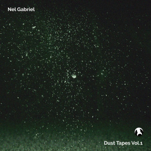 Album Dust Tapes Vol.1 oleh Nel Gabriel
