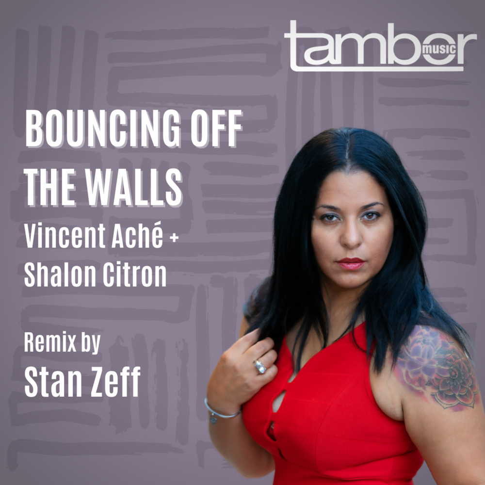 Bouncing Off The Walls (Stan Zeff Vocal Remix)