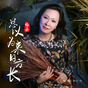 Dengarkan 总以为来日方长 (DJ默涵版伴奏) lagu dari 梅朵 dengan lirik