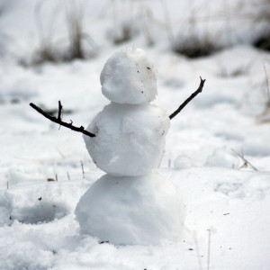 ดาวน์โหลดและฟังเพลง Olaf พร้อมเนื้อเพลงจาก The Disneylanders