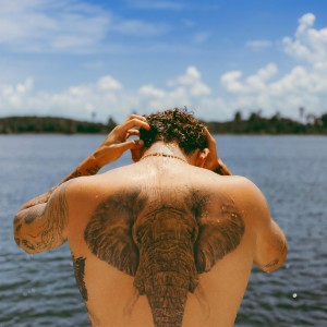 อัลบัม frente al mar ศิลปิน Beéle