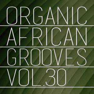 ดาวน์โหลดและฟังเพลง High Grade Only พร้อมเนื้อเพลงจาก Purple Man