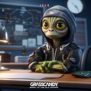 Listen to Back To The Old School song with lyrics from Grasscandy