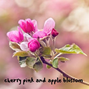Listen to Cherry Pink and Apple Blossom song with lyrics from Perez Prado