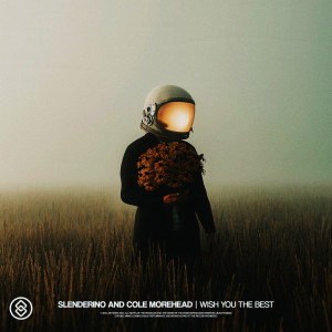 Album Wish You The Best from Slenderino