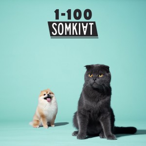ดาวน์โหลดและฟังเพลง 1-100 พร้อมเนื้อเพลงจาก Somkiat