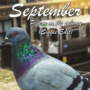 Pigeon on the subway (Single Edit)