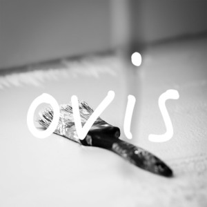 Listen to colorful song with lyrics from Ovis