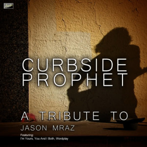 ดาวน์โหลดและฟังเพลง You and I Both พร้อมเนื้อเพลงจาก Ameritz Tribute Tracks