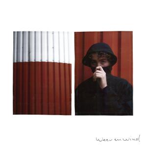 Album weer en wind (Explicit) oleh Thomas