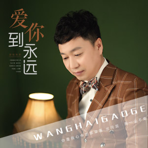 收聽望海高歌的愛你到永遠 (DJ版)歌詞歌曲