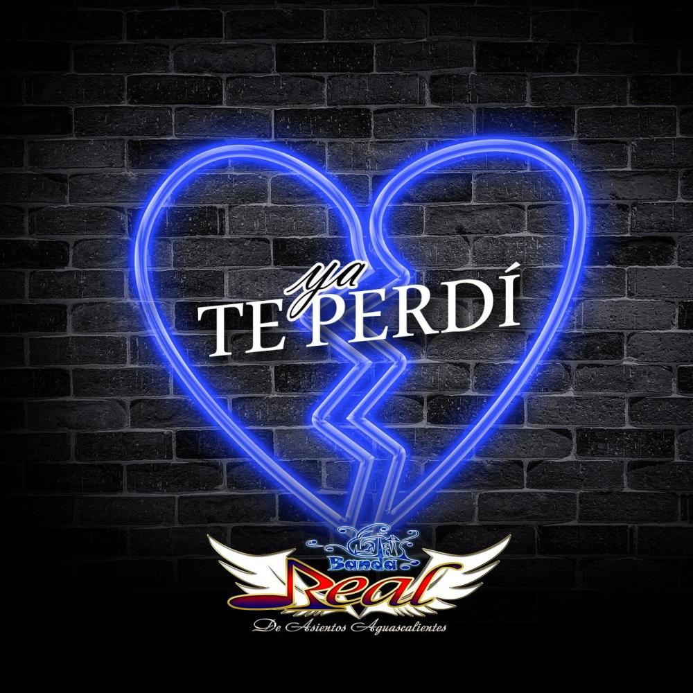 ya te perdi