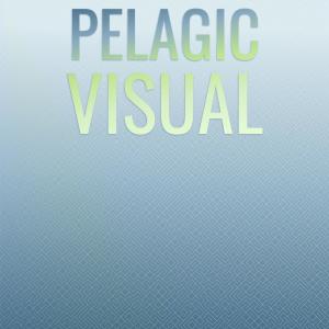 Pelagic Visual dari Various