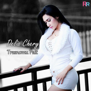 Listen to Tresnomu Pait song with lyrics from Delia Chery