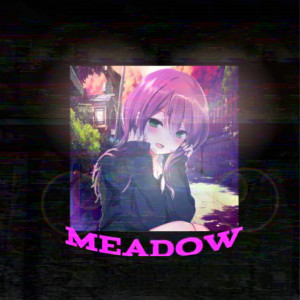 Listen to MEADOW song with lyrics from XI$OW