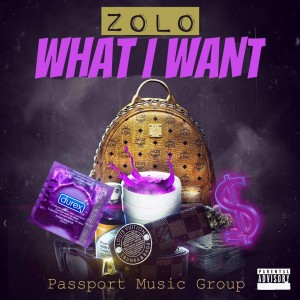ดาวน์โหลดและฟังเพลง What I Want (Explicit) พร้อมเนื้อเพลงจาก Zolo