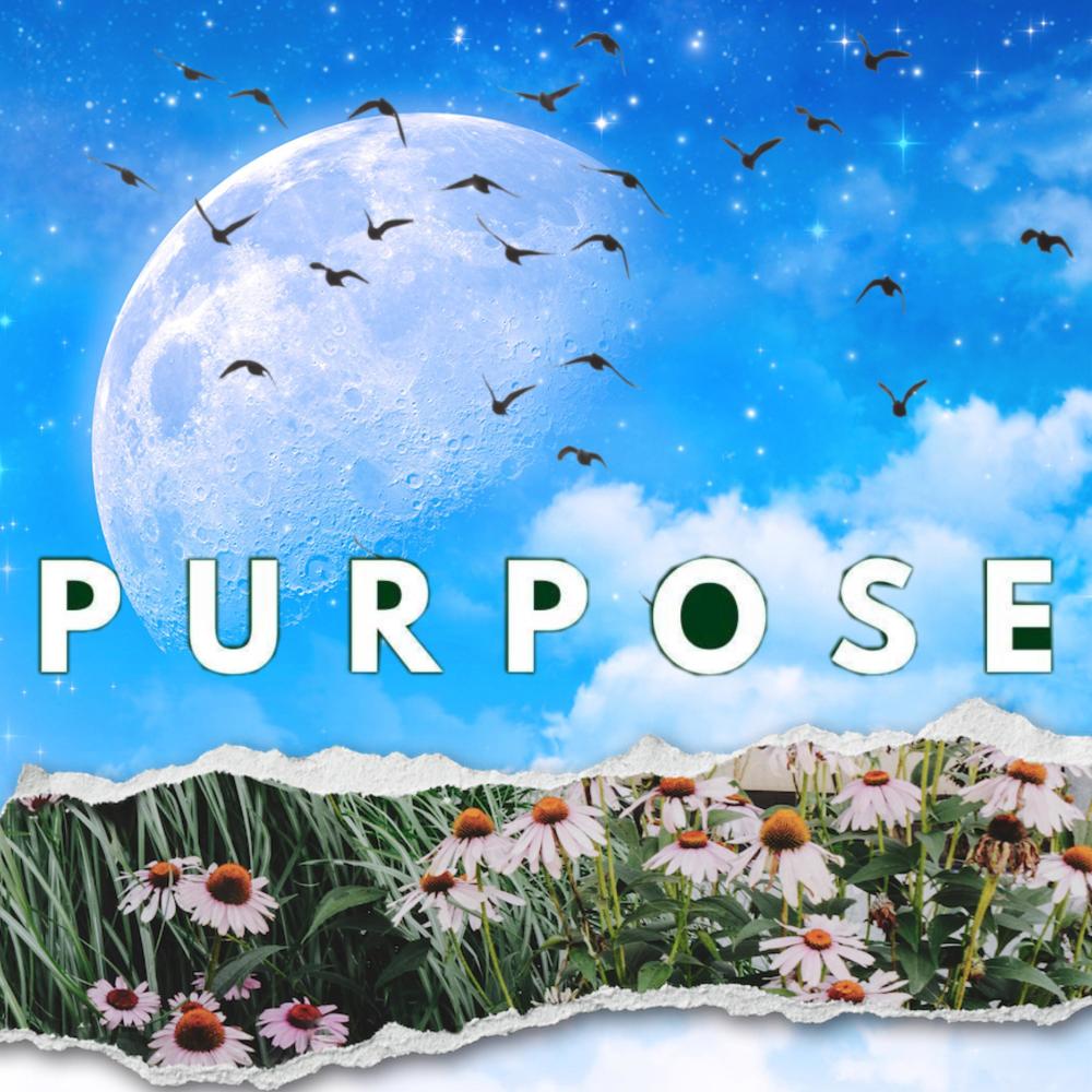 Purpose