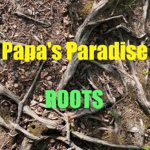 ดาวน์โหลดและฟังเพลง I'm Your Man พร้อมเนื้อเพลงจาก Papa's Paradise
