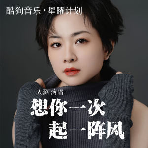收聽大潞的想你一次起一陣風 (DJ浩然版伴奏)歌詞歌曲