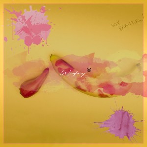 Album 二月刊 有害音乐制品 from NOM(SIMJIYONG)
