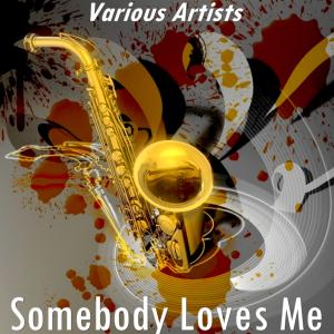 收听Henry Levine的Somebody Loves Me (Version by Henry Levine)歌词歌曲