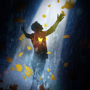 ดาวน์โหลดและฟังเพลง Rain Rain พร้อมเนื้อเพลงจาก Steven Thorn