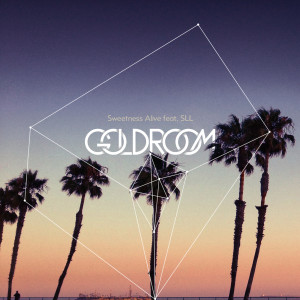 Listen to Sweetness Alive (feat. S L L) song with lyrics from Goldroom