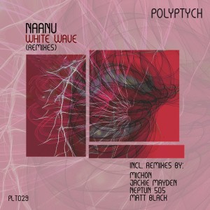 Listen to White Wave (Jackie Mayden Remix) song with lyrics from Naanu
