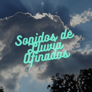 Album Sonidos De Lluvia Afinados oleh Sonidos de lluvia ACE