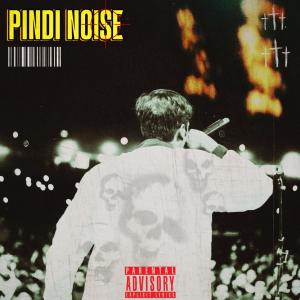 ดาวน์โหลดและฟังเพลง PINDINOISE (Explicit) พร้อมเนื้อเพลงจาก Raven